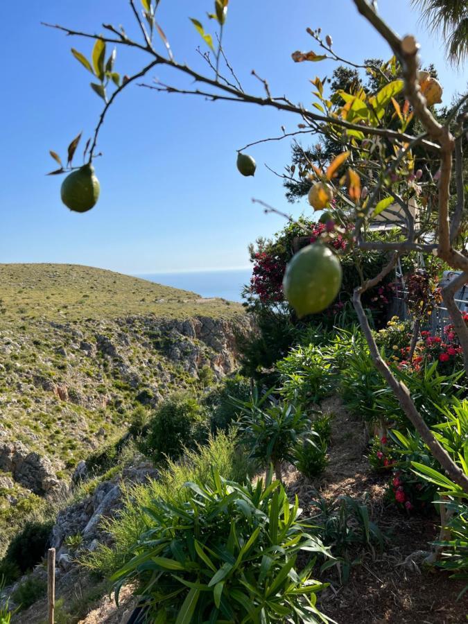Baglio Cracchiolo Da Tuzzo - Casa Il Limone Daire San Vito Lo Capo Dış mekan fotoğraf